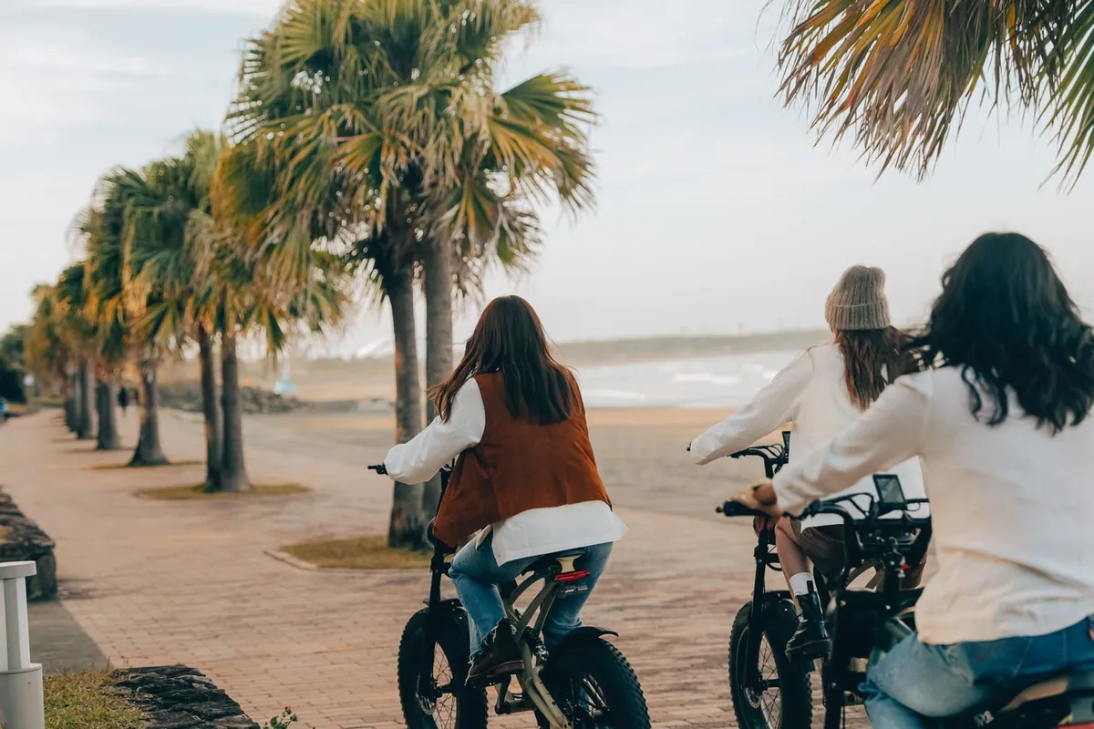 ヤシ並木の海沿いを E-BIKE で走る3人